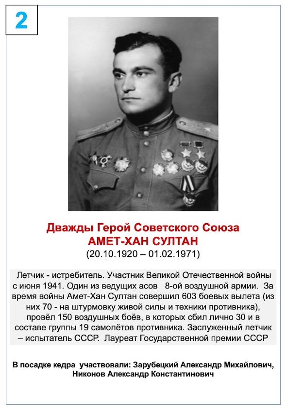 Амет-Хан Султан
