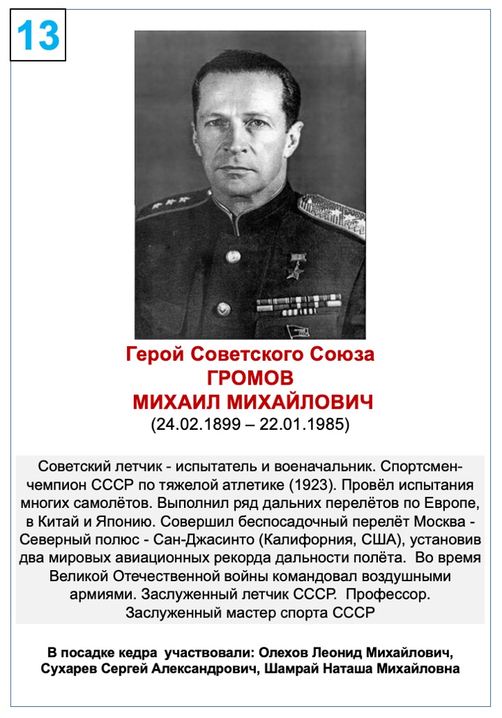 Громов Михаил Михайлович