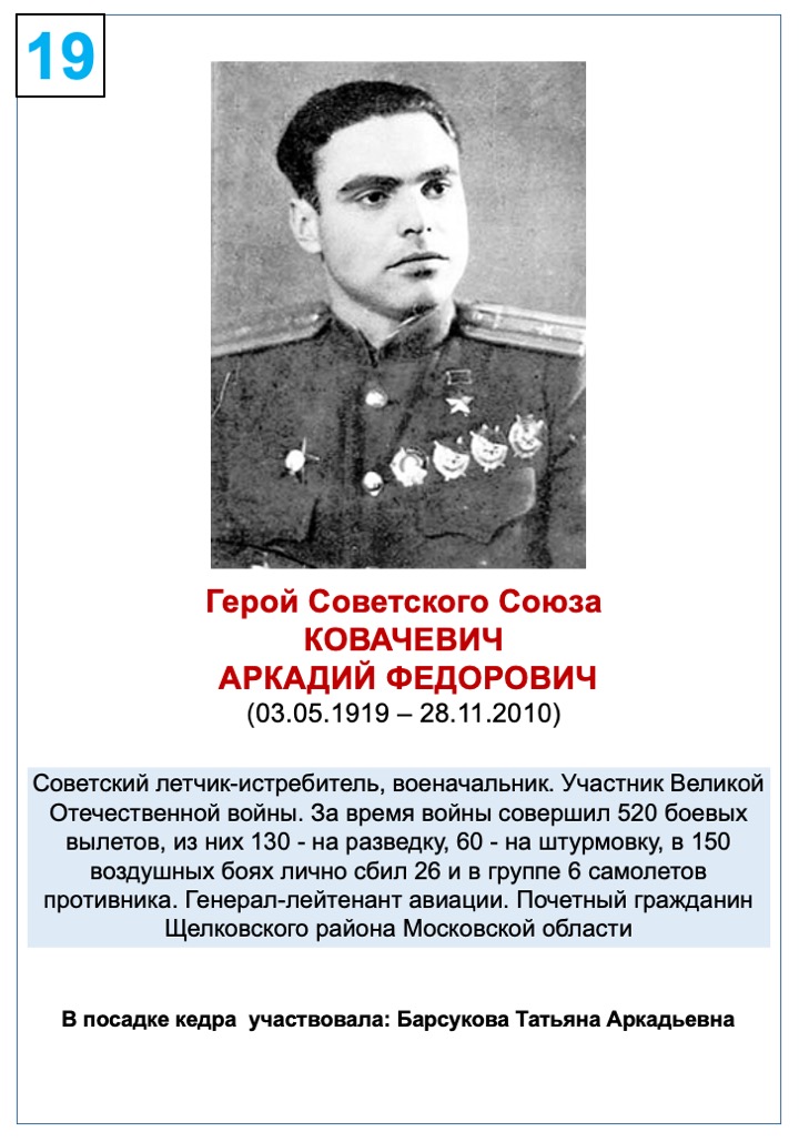 Ковачевич Аркадий Федорович