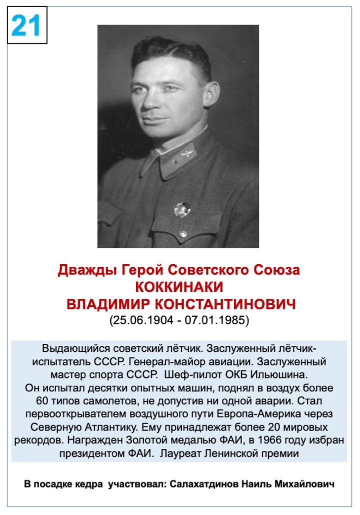 Коккинаки Владимир Константинович