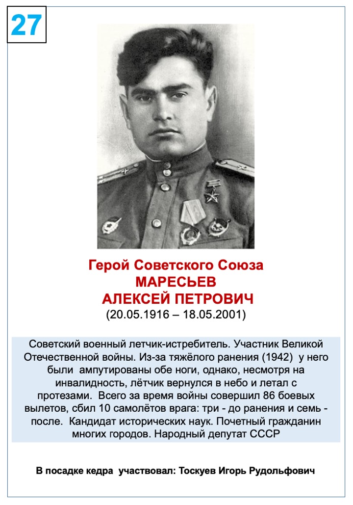 Маресьев Алексей Петрович