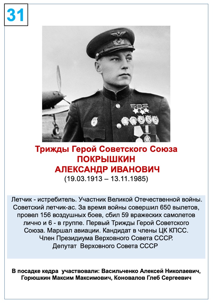 Покрышкин Александр Иванович