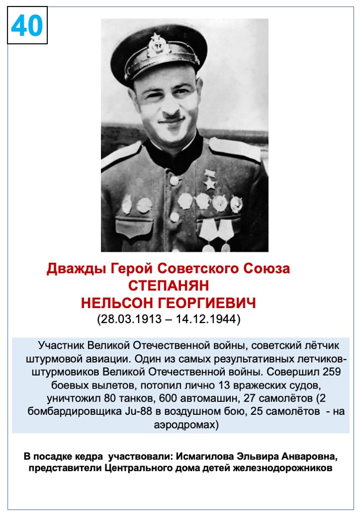 Степанян Нельсон Георгиевич